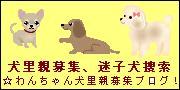 kogata.JPG